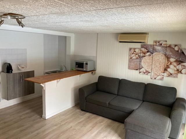 L'Appartement Du Micocoulier ซาลง-เดอ-โพรวองซ์ ภายนอก รูปภาพ