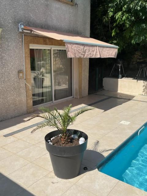 L'Appartement Du Micocoulier ซาลง-เดอ-โพรวองซ์ ภายนอก รูปภาพ
